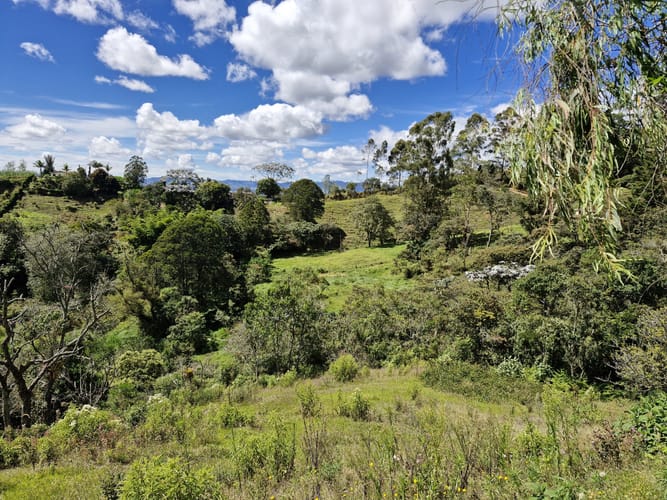 Lote en venta en La Quiebra, Rionegro, 64000 m² · foto 4 de 17