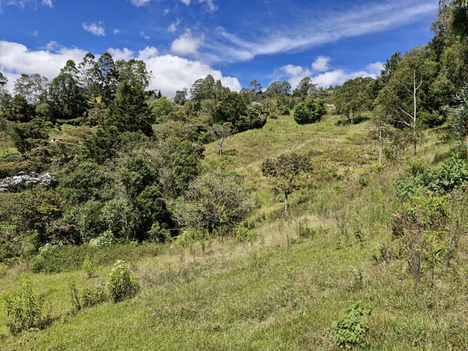 Lote en venta en La Quiebra, Rionegro, 64000 m² · foto 5 de 17