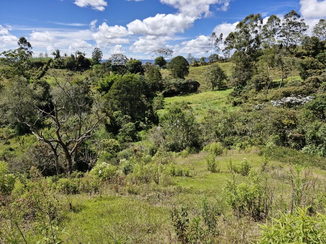 Lote en venta en La Quiebra, Rionegro, 64000 m² · foto 6 de 17