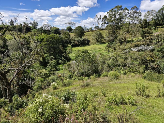 Lote en venta en La Quiebra, Rionegro, 64000 m² · foto 7 de 17
