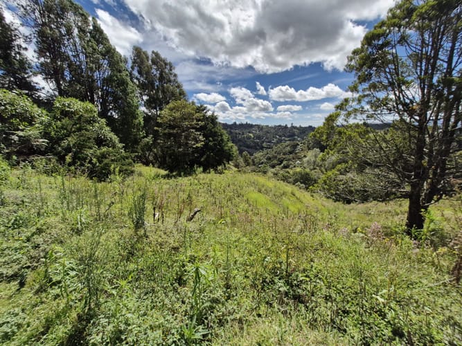 Lote en venta en La Quiebra, Rionegro, 64000 m² · foto 8 de 17