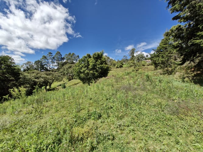 Lote en venta en La Quiebra, Rionegro, 64000 m² · foto 10 de 17