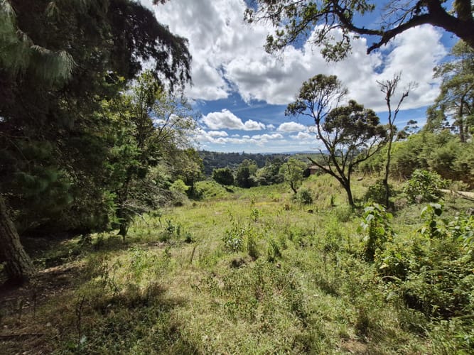 Lote en venta en La Quiebra, Rionegro, 64000 m² · foto 12 de 17