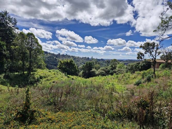Lote en venta en La Quiebra, Rionegro, 64000 m² · foto 13 de 17