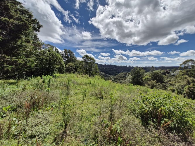Lote en venta en La Quiebra, Rionegro, 64000 m² · foto 15 de 17