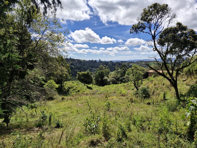 Lote en venta en La Quiebra, Rionegro, 64000 m² · foto 17 de 17