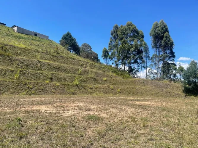 Lote en venta en Guarne, 5000 m² · foto 6 de 10