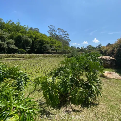 Lote en venta en Guayabito, Rionegro, 1939 m² · foto 3 de 11