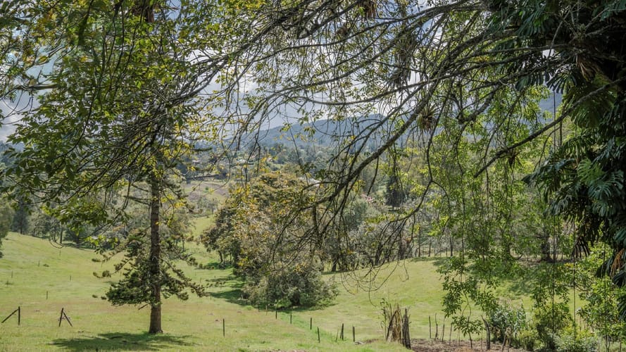 Lote en venta en Los Salados, El Retiro, 2677 m² · foto 3 de 6
