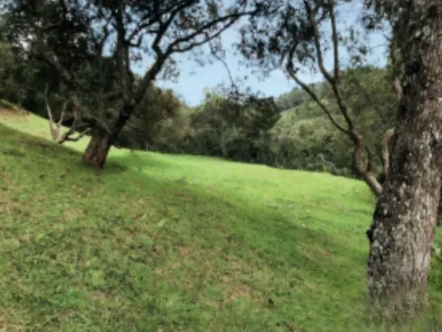 Lote en venta en Mesa, Envigado, 4169 m² · foto 3 de 10
