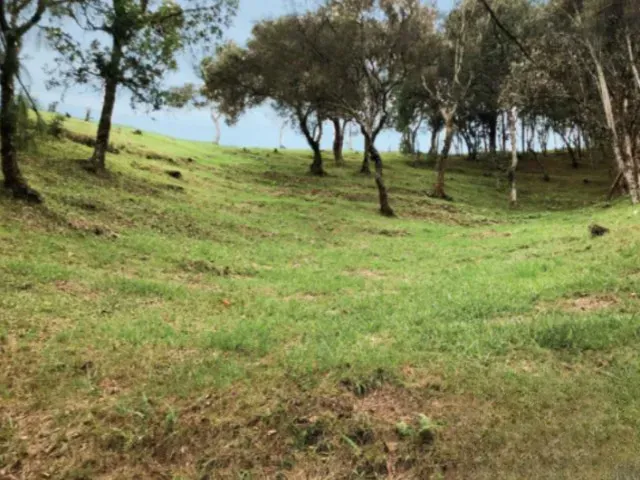 Lote en venta en Mesa, Envigado, 4169 m² · foto 10 de 10