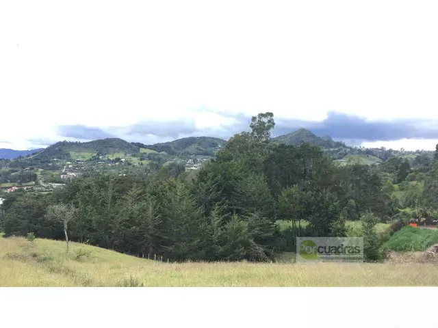 Lote en venta en Pontezuela, Rionegro, 50000 m² · foto 5 de 10