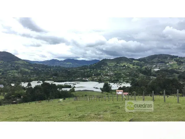 Lote en venta en Pontezuela, Rionegro, 50000 m² · foto 7 de 10