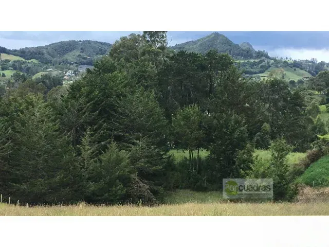 Lote en venta en Pontezuela, Rionegro, 50000 m² · foto 8 de 10