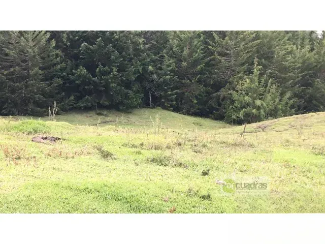 Lote en venta en Pontezuela, Rionegro, 50000 m² · foto 9 de 10