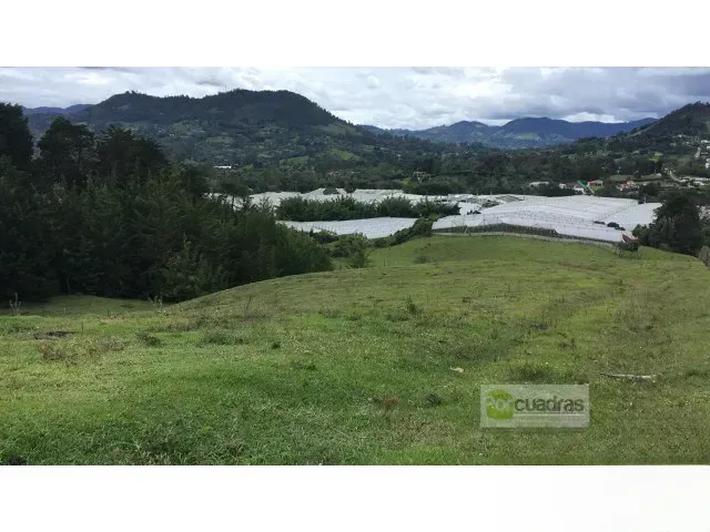 Lote en venta en Pontezuela, Rionegro, 50000 m² · foto 10 de 10