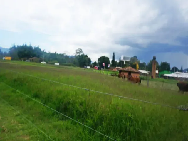 Lote en venta en El Porvenir, Rionegro, 20000 m² · foto 6 de 9
