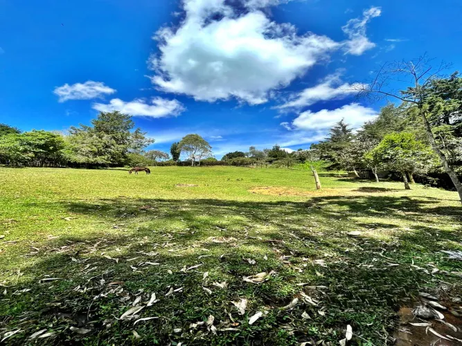 Lote en venta en Playa Rica-Rancheria, Rionegro, 5350 m² · foto 6 de 11