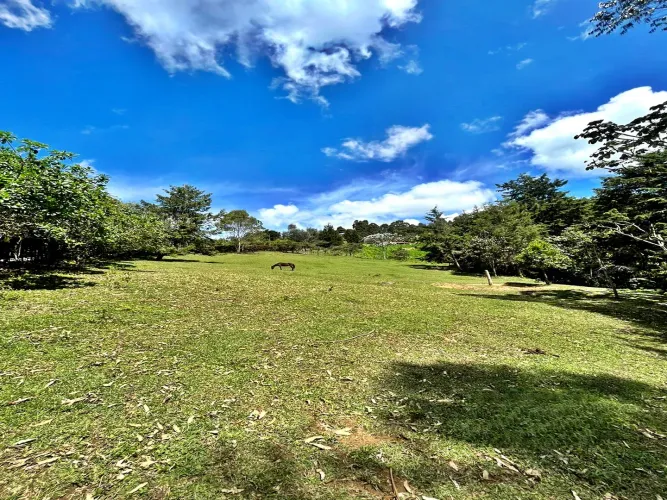Lote en venta en Playa Rica-Rancheria, Rionegro, 5350 m² · foto 8 de 11