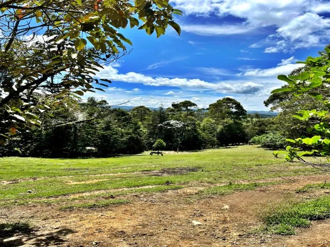 Lote en venta en Playa Rica-Rancheria, Rionegro, 5350 m² · foto 9 de 11