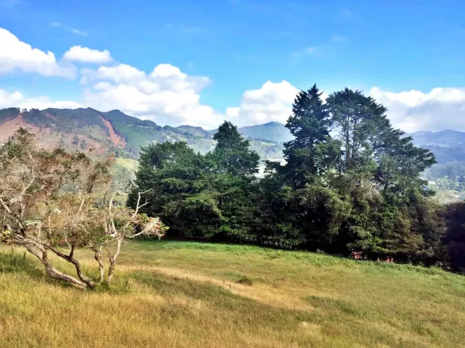 Lote en venta en Guayabito, Rionegro, 24933 m² · foto 2 de 8