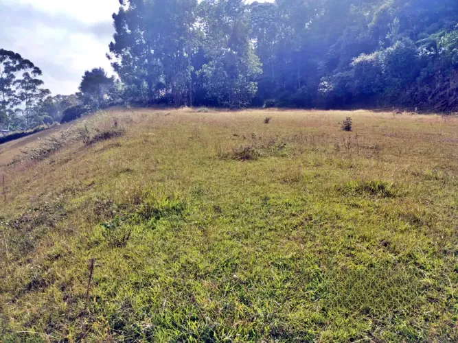 Lote en venta en Guayabito, Rionegro, 24933 m² · foto 3 de 8