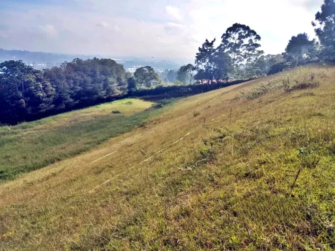 Lote en venta en Guayabito, Rionegro, 24933 m² · foto 4 de 8