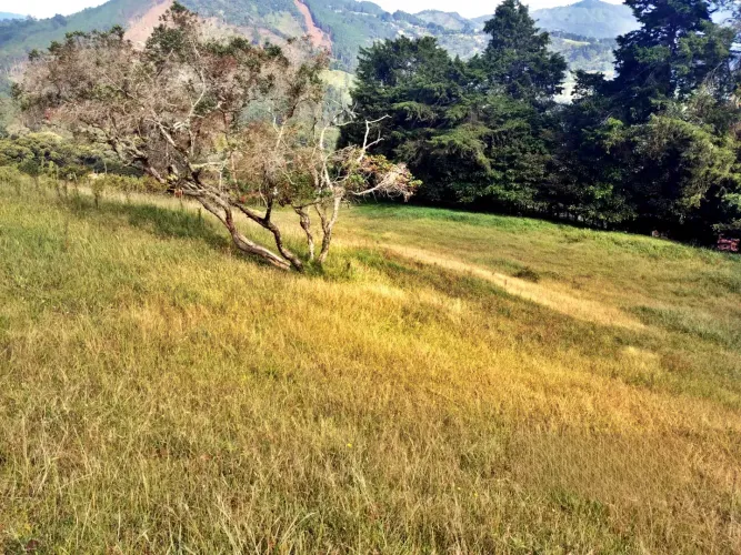 Lote en venta en Guayabito, Rionegro, 24933 m² · foto 5 de 8