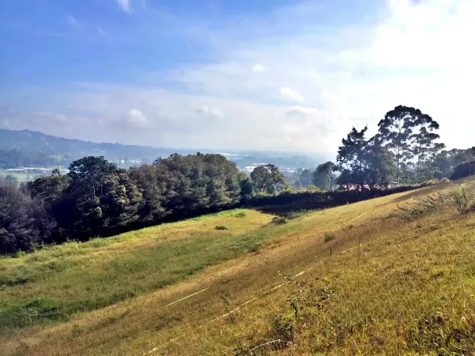 Lote en venta en Guayabito, Rionegro, 24933 m² · foto 7 de 8