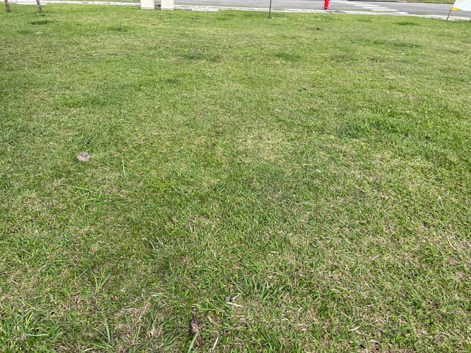 Lote en venta en El Porvenir, Rionegro, 110 m² · foto 2 de 7