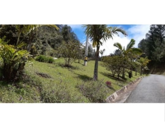 Lote en venta en El Retiro, 21600 m² · foto 3 de 9