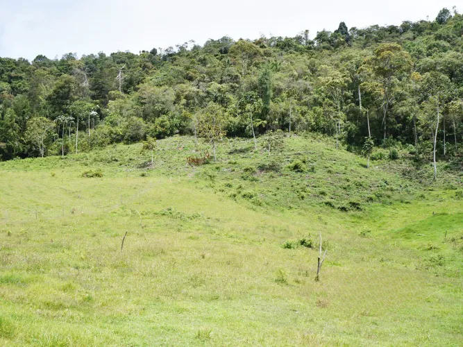 Lote en venta en Guayabito, Rionegro, 43000 m² · foto 2 de 15