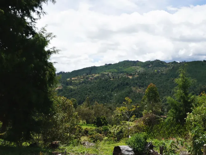 Lote en venta en Guayabito, Rionegro, 43000 m² · foto 3 de 15