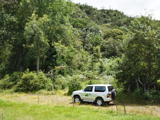 Lote en venta en Guayabito, Rionegro, 43000 m² · foto 4 de 15