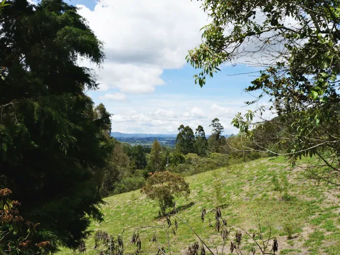 Lote en venta en Guayabito, Rionegro, 43000 m² · foto 5 de 15