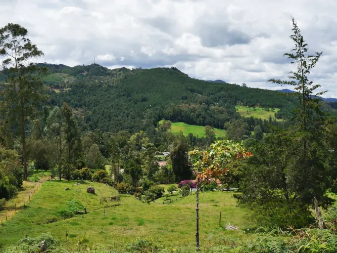 Lote en venta en Guayabito, Rionegro, 43000 m² · foto 6 de 15