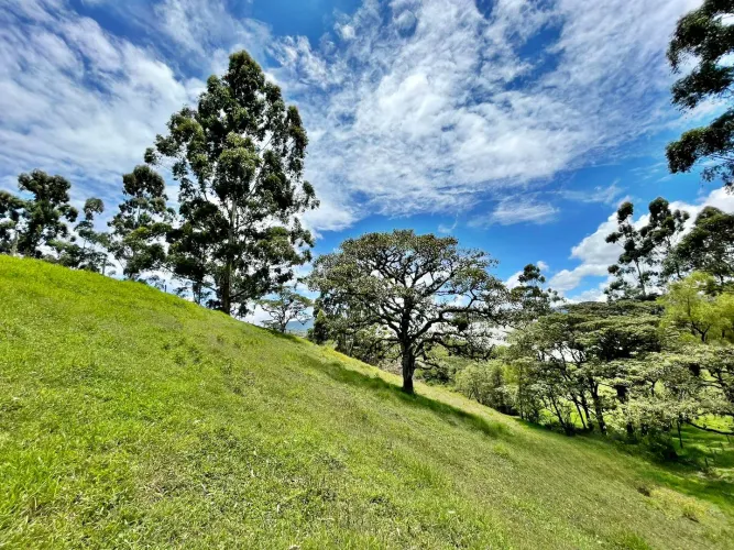 Lote en venta en Las Garzonas, El Carmen de Viboral, 76300 m² · foto 6 de 17