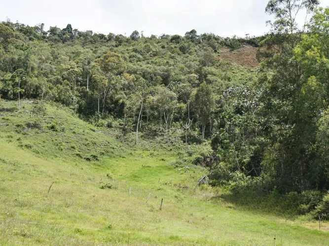 Lote en venta en Guayabito, Rionegro, 43000 m² · foto 7 de 15