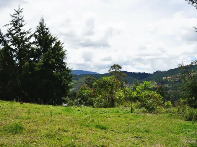 Lote en venta en Guayabito, Rionegro, 43000 m² · foto 8 de 15