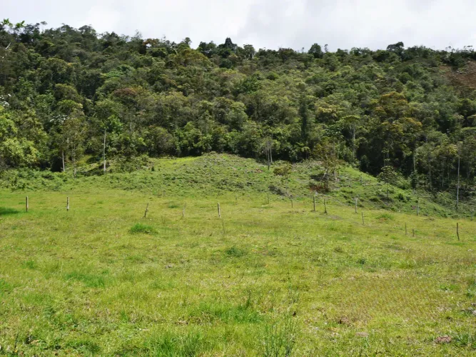 Lote en venta en Guayabito, Rionegro, 43000 m² · foto 9 de 15