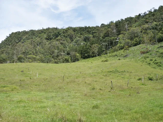 Lote en venta en Guayabito, Rionegro, 43000 m² · foto 10 de 15