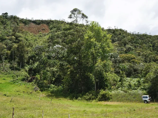 Lote en venta en Guayabito, Rionegro, 43000 m² · foto 11 de 15