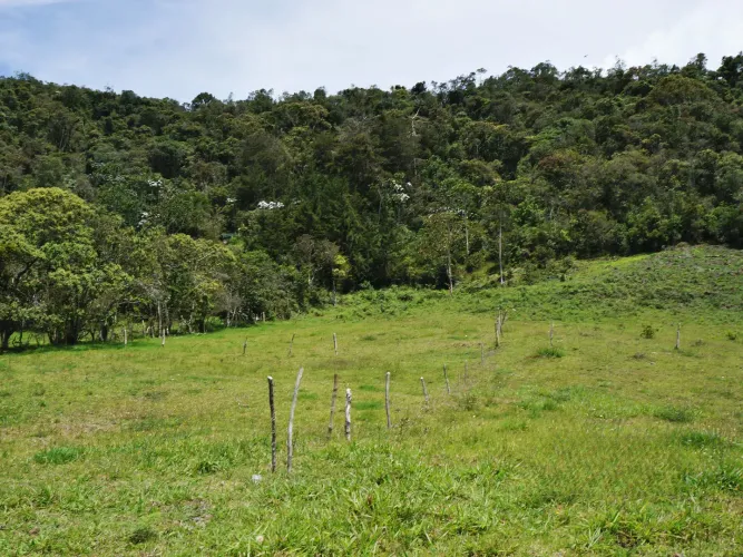 Lote en venta en Guayabito, Rionegro, 43000 m² · foto 12 de 15