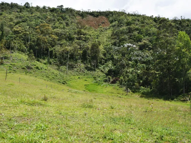 Lote en venta en Guayabito, Rionegro, 43000 m² · foto 13 de 15