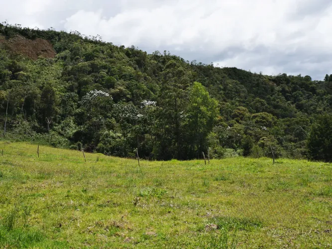 Lote en venta en Guayabito, Rionegro, 43000 m² · foto 14 de 15