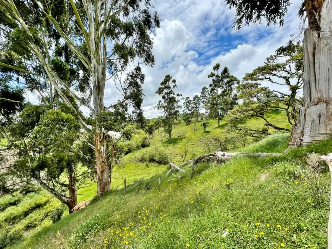Lote en venta en Las Garzonas, El Carmen de Viboral, 76300 m² · foto 13 de 17
