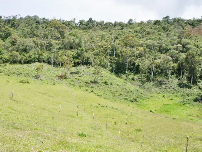 Lote en venta en Guayabito, Rionegro, 43000 m² · foto 15 de 15