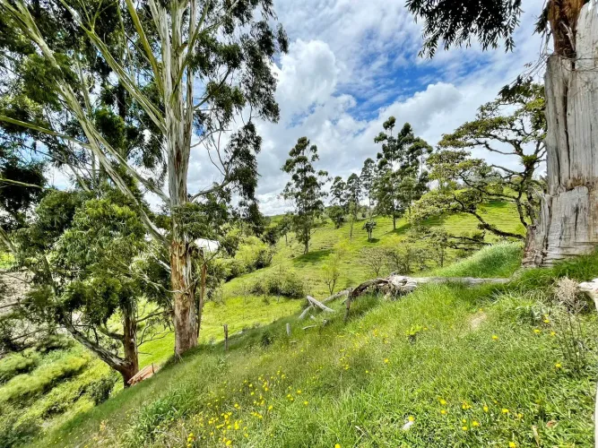 Lote en venta en Las Garzonas, El Carmen de Viboral, 76300 m² · foto 16 de 17