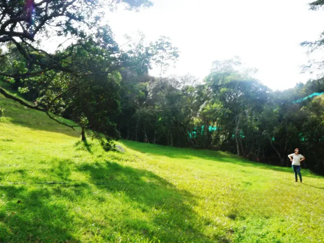 Lote en venta en Las Palmas, Envigado, 11600 m² · foto 3 de 10