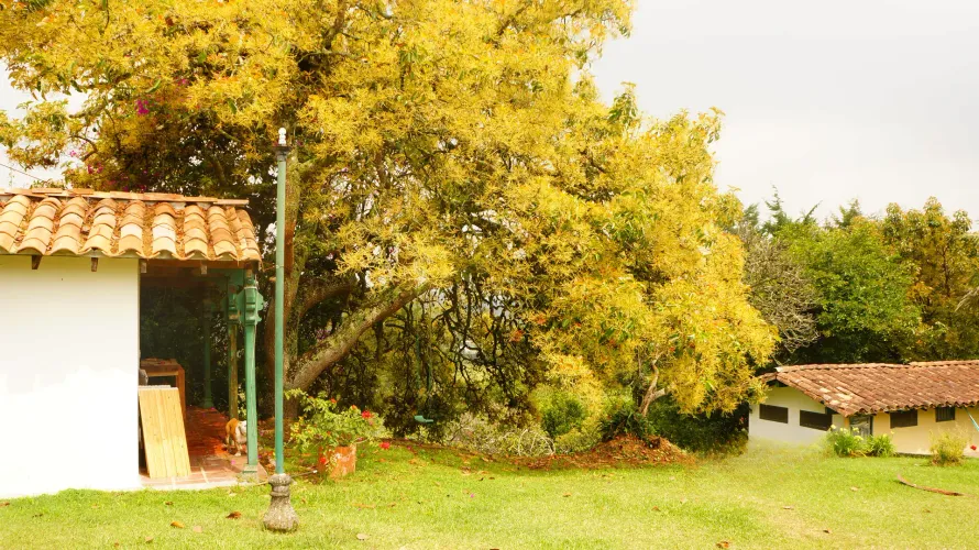 Casa de 5 alcobas en venta en Cabeceras De Llanogrande, Rionegro · foto 24 de 24
